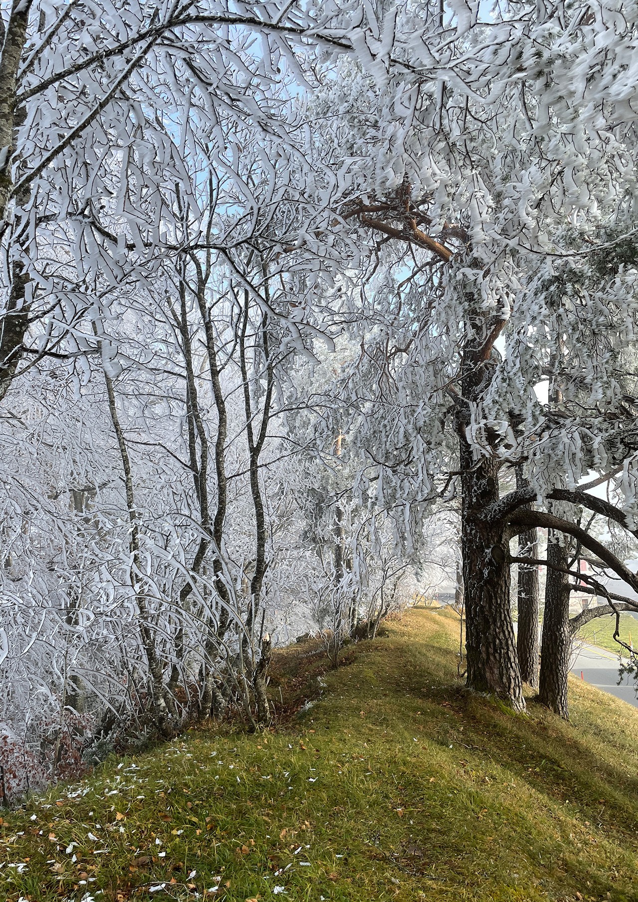alpenhof-13.jpg