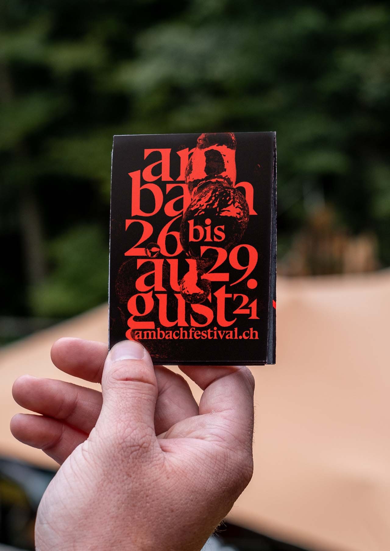 ambach-13.jpg
