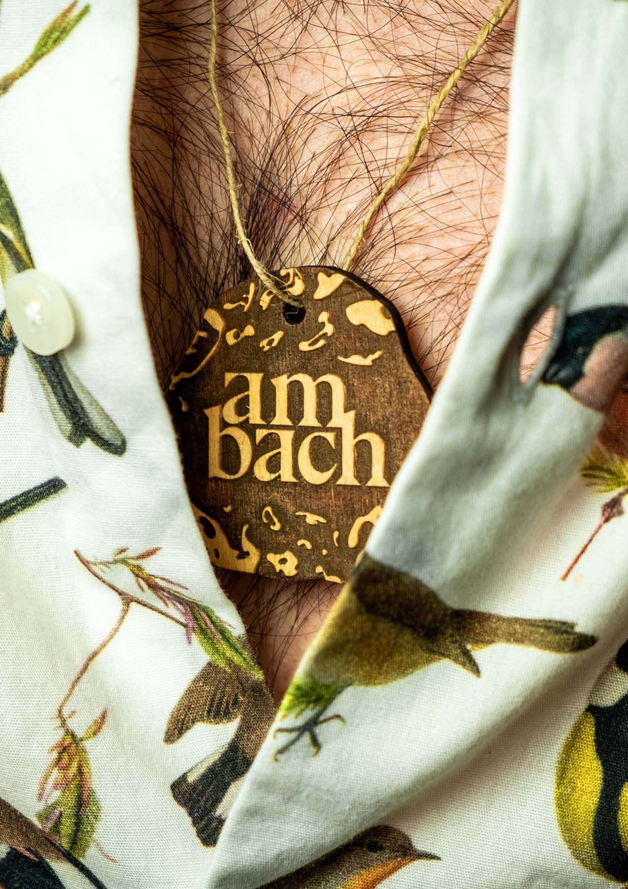 ambach-07.jpg