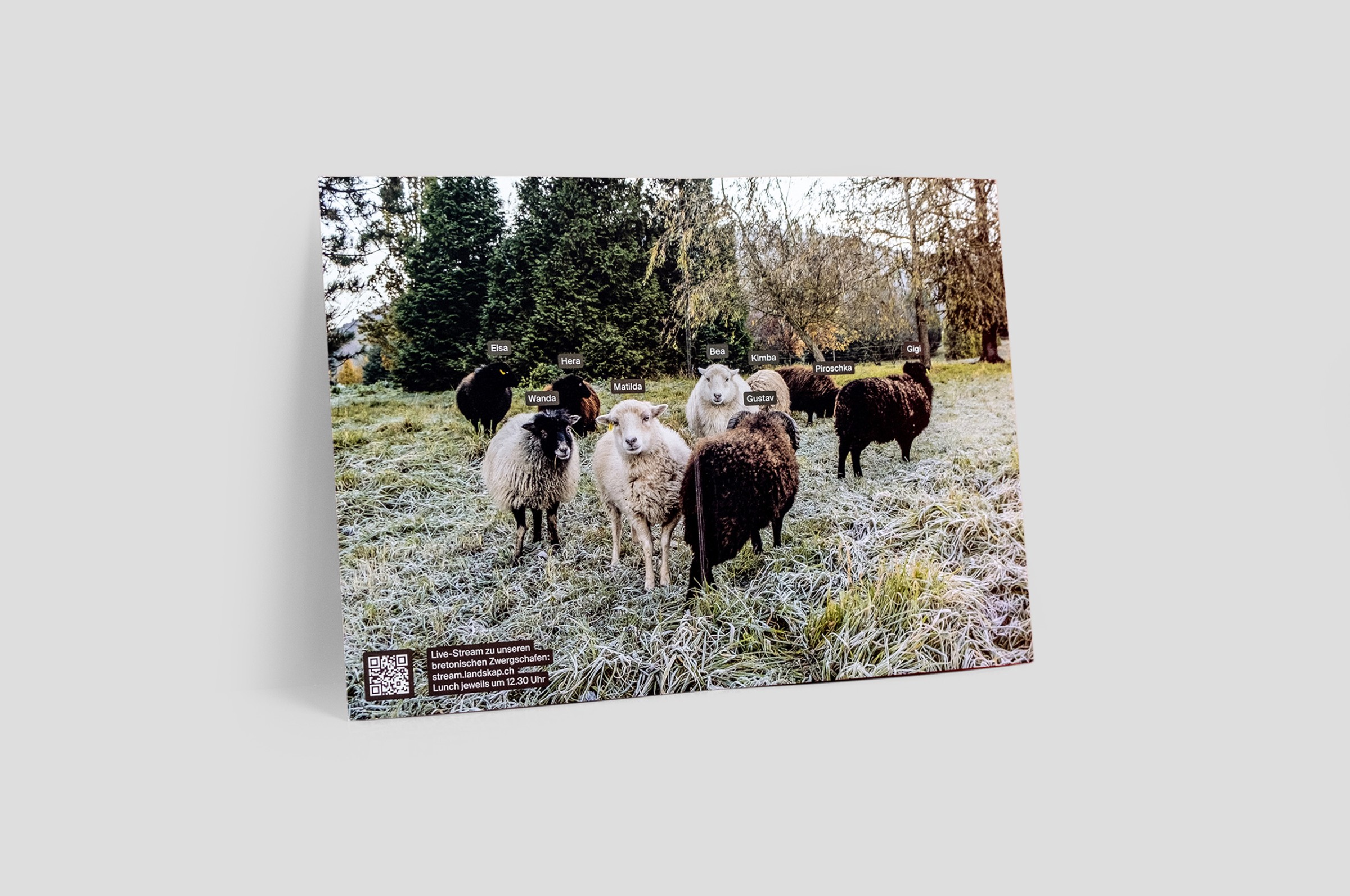 landskap-02.jpg