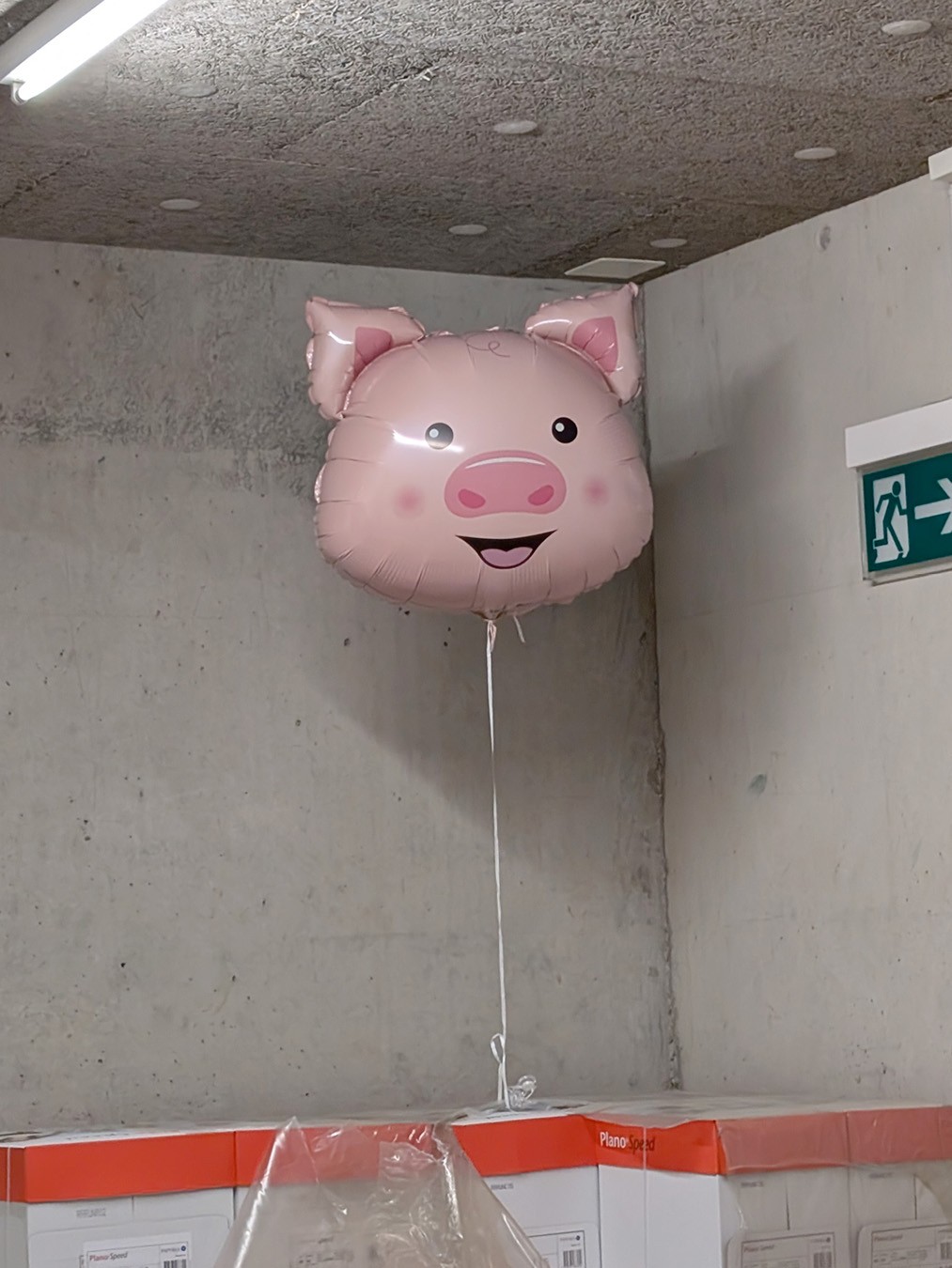 saeugasse_rennen13.jpg