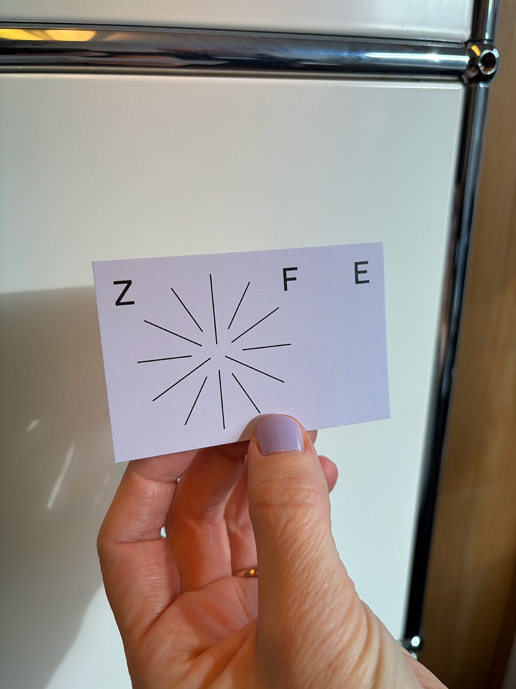 zfe_09.jpg
